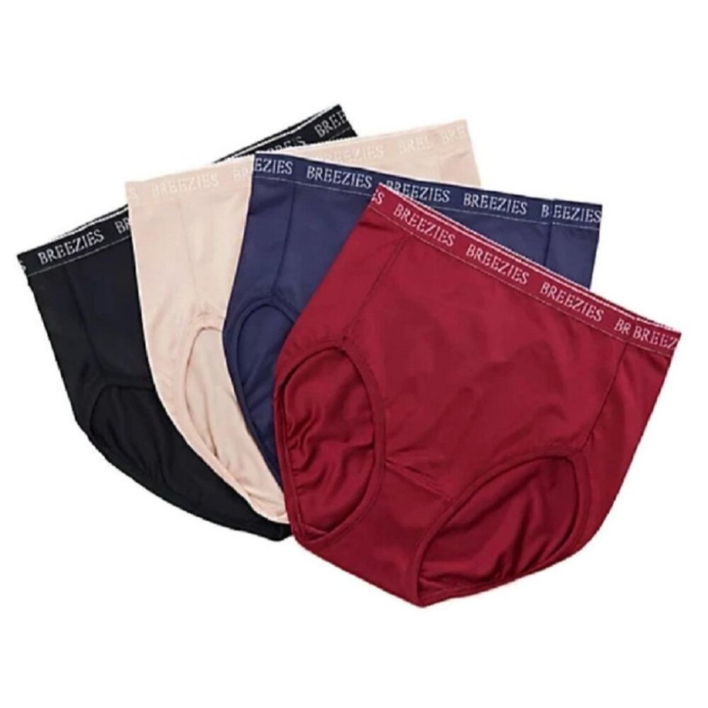 Breezies Nylon Microfiber Hi-Cut Panty Set of 4 MEDIUM  (BG-11)